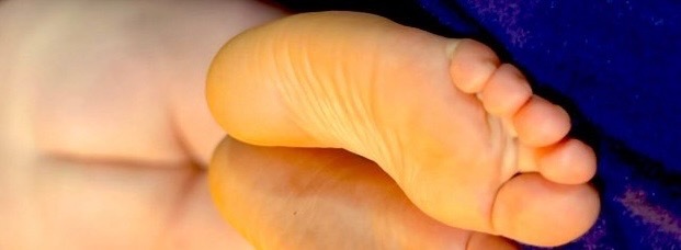 Teogayfeet banner image