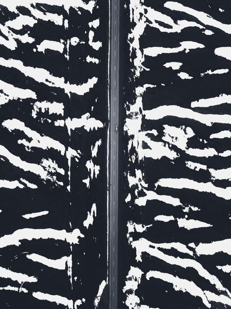 Ter Jan cover image