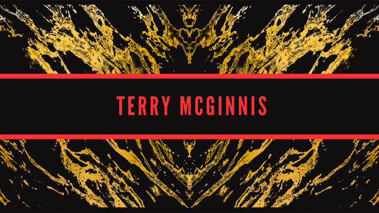 Terry McGinnis cover image