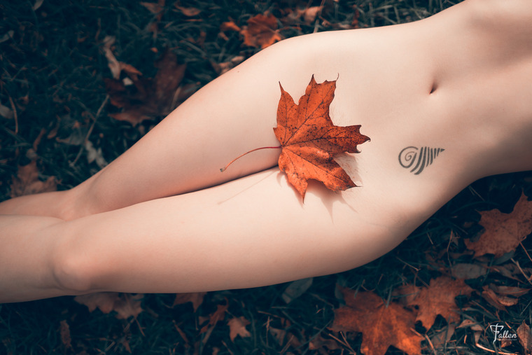 Tess Březinová banner image