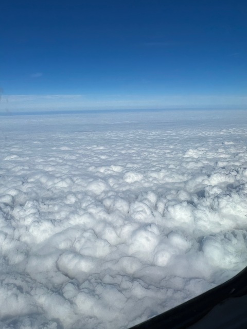 Texas_Randy cover image