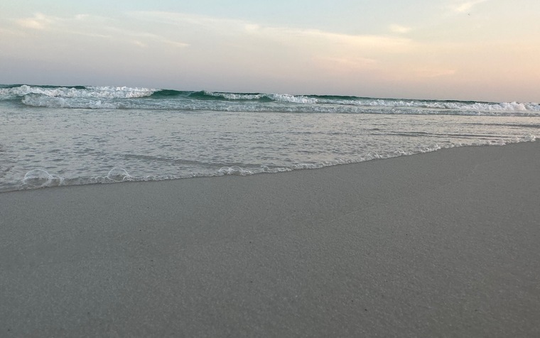 texascpl cover image