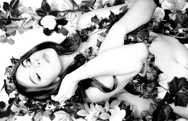 Dixie ♡ cover image