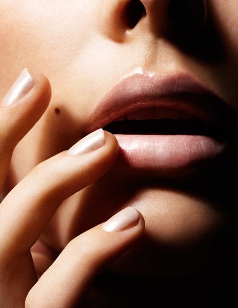Taylor cover image