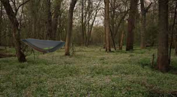 Tf Bushcraft banner image