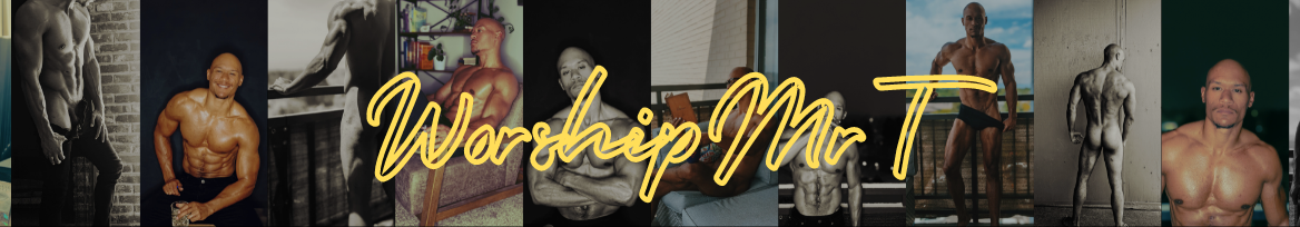 Mr T banner image