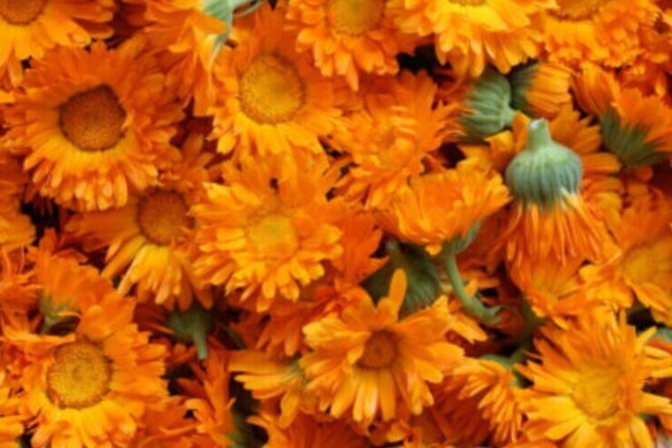 ThaProject104 cover image