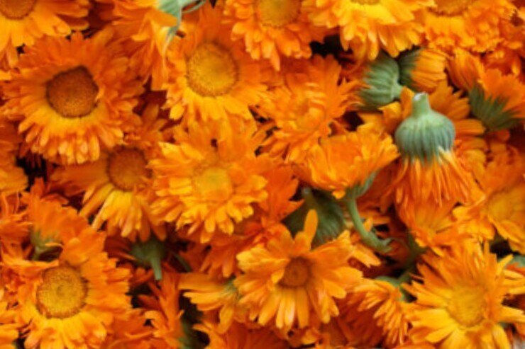 ThaProject104 banner image