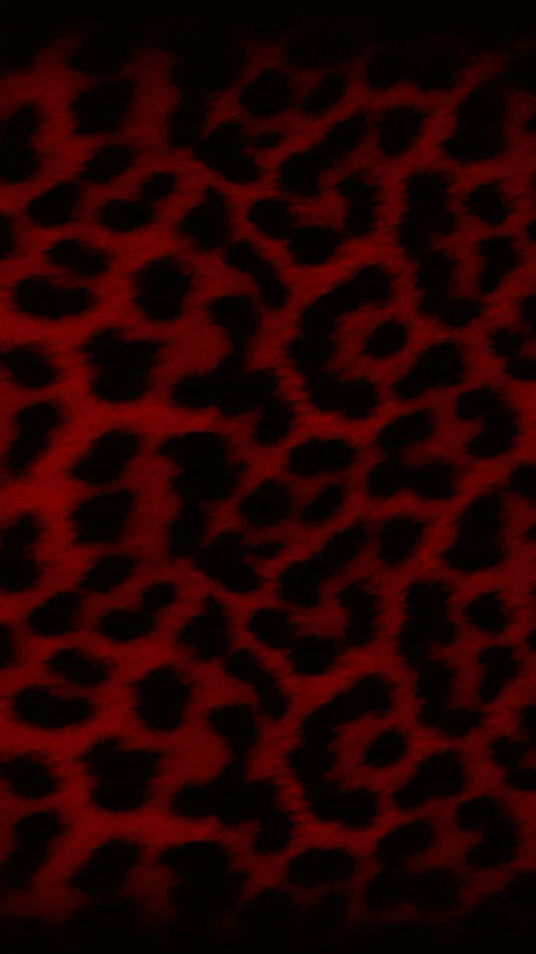 Teddy bear banner image