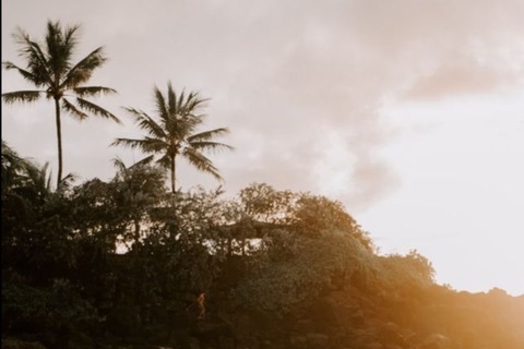 Hawaiian Beauty ✨ cover image