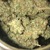 420 Mama avatar