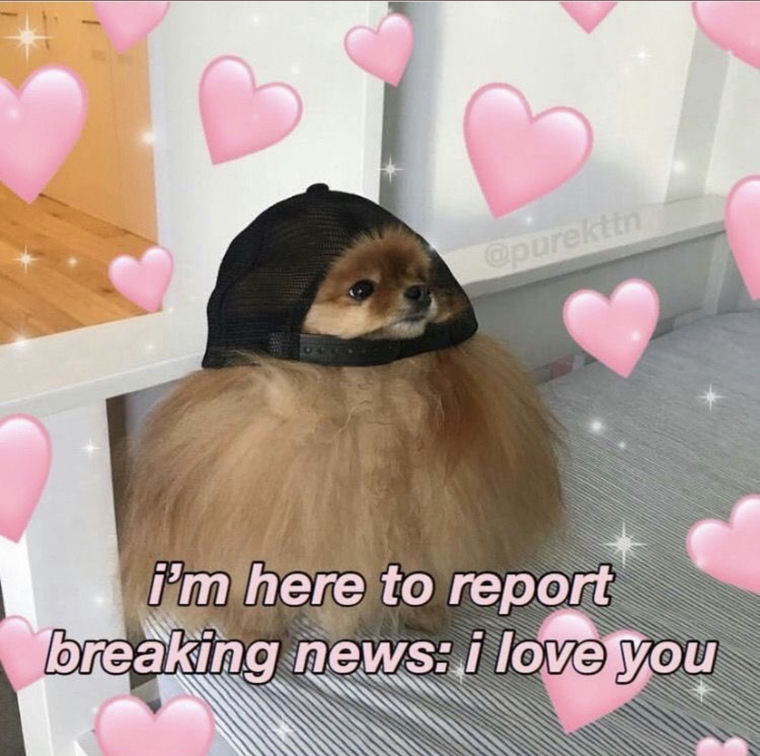 CuteGayCouple banner image