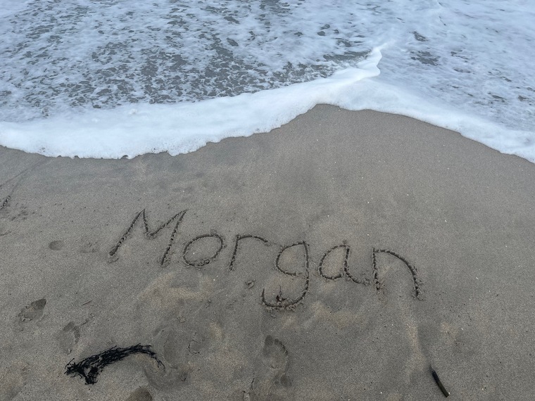 Morgan cover image