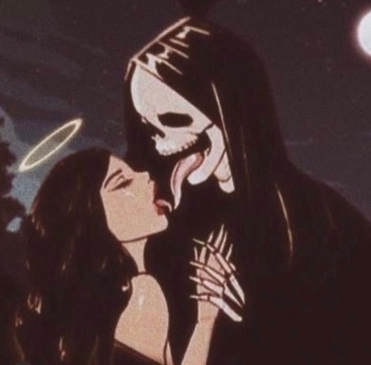 Kitty banner image