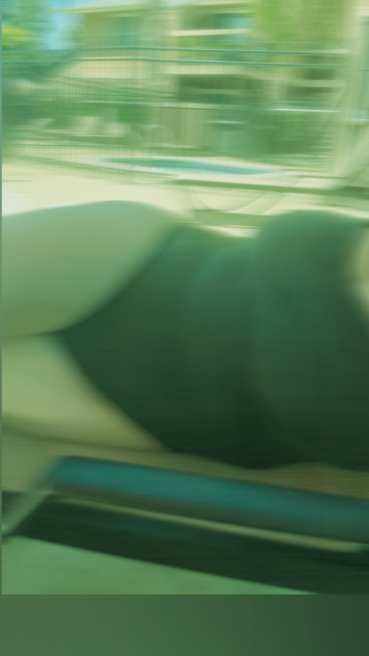 Ashton cover image