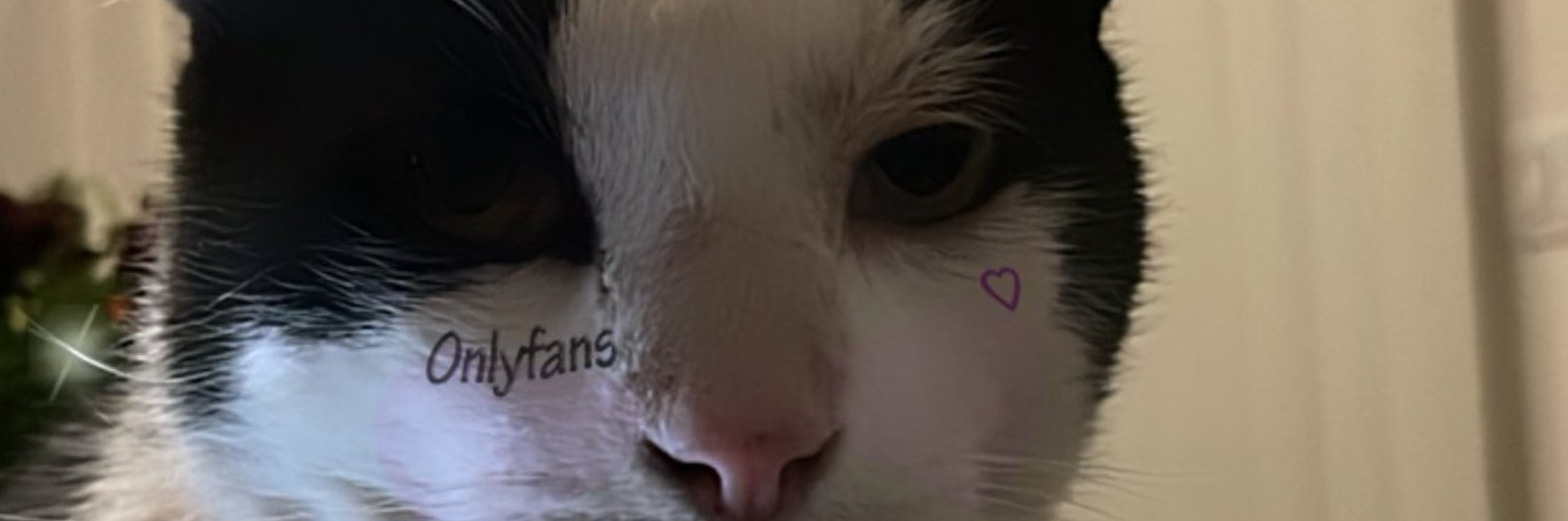 . banner image
