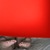 ThatPawgFeet avatar