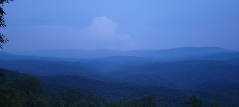 Tracy cover image