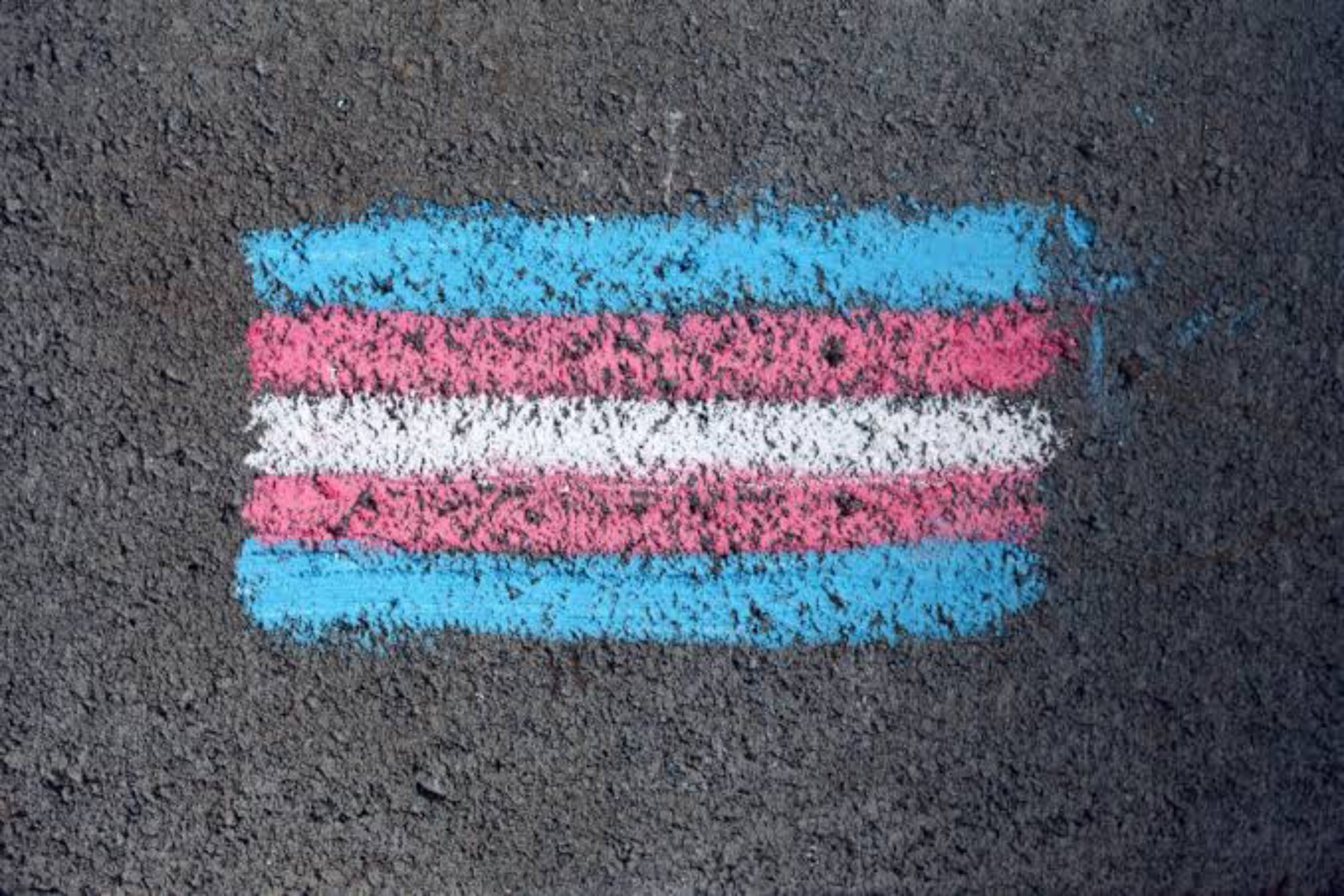 Tranny boi banner image