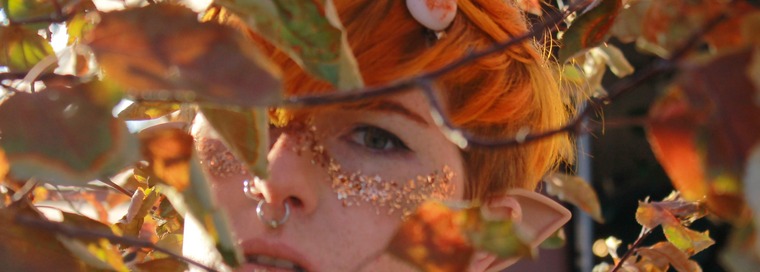 Aiden Pixie cover image