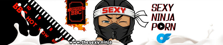The Sexy Ninja banner image