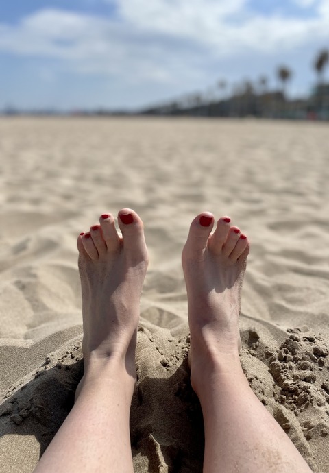 The Daily Feet cover image