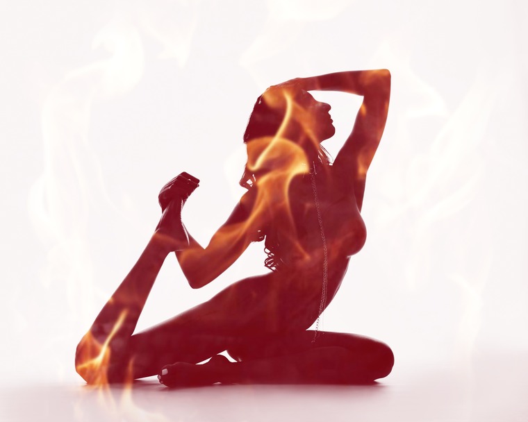 Pheonix cover image
