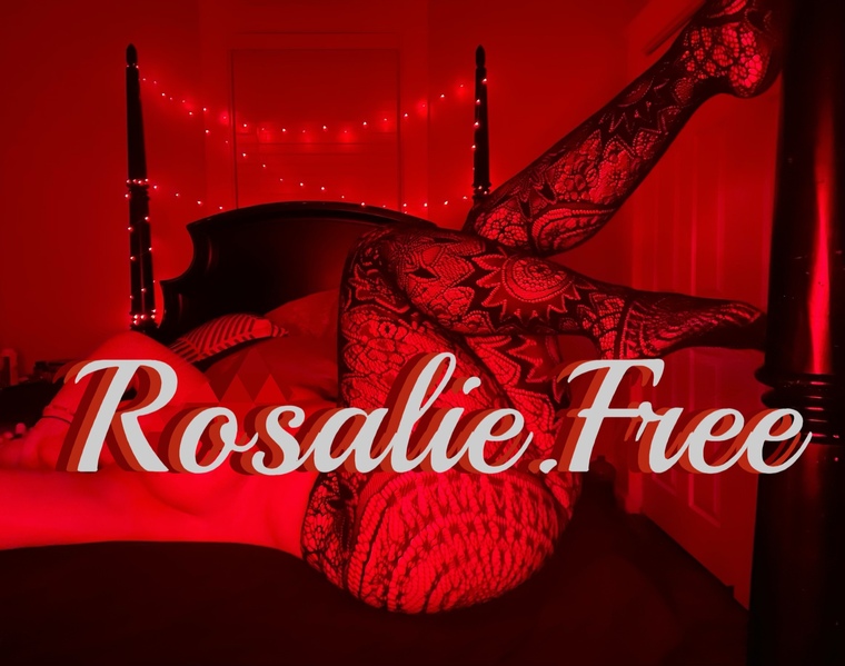 Rose cover image