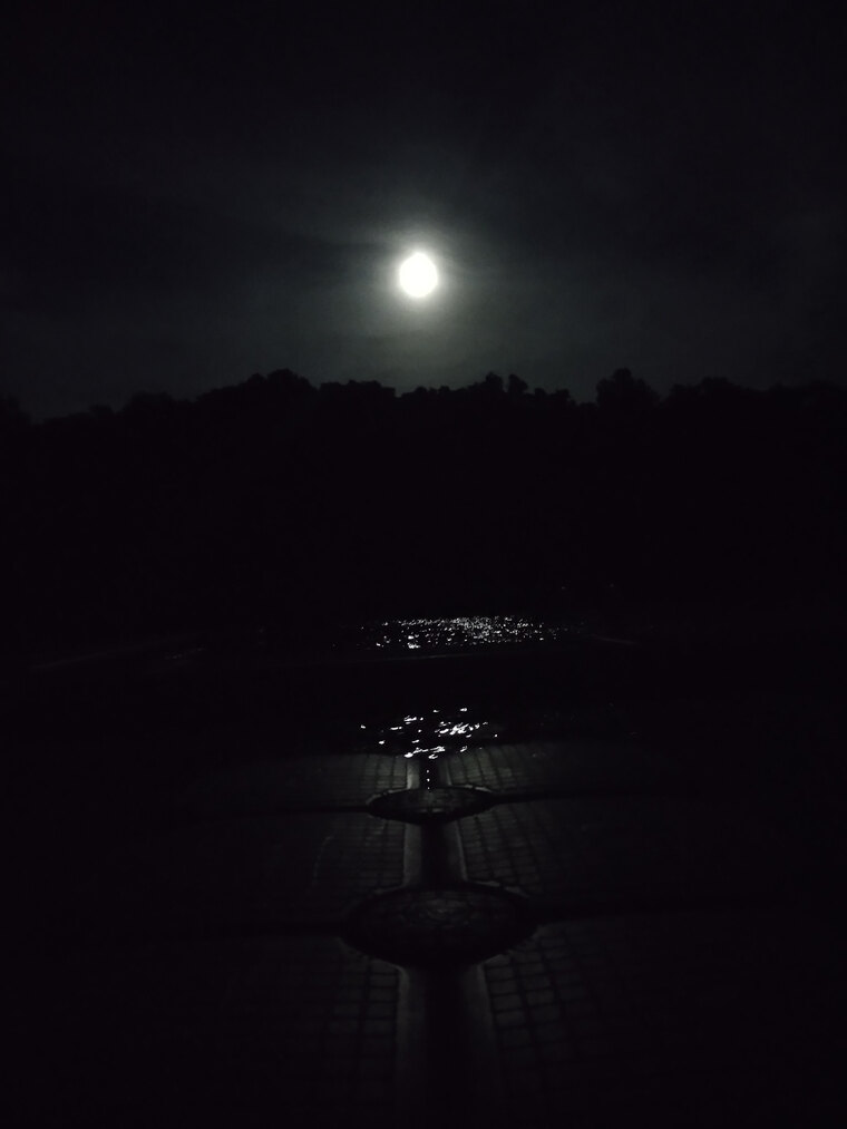 Cherry cover image
