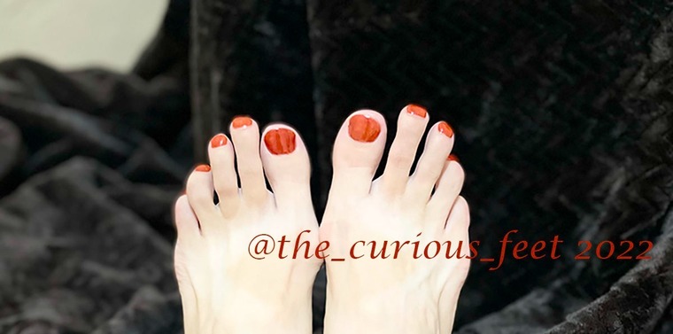 The Curious Feet cover image