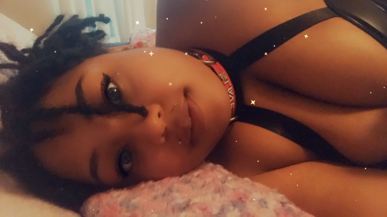 Ebony kitten banner image