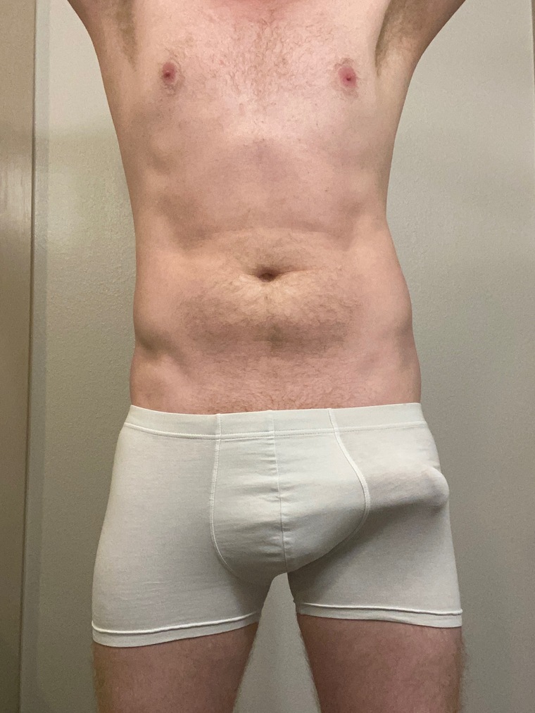 The Ginger Otter cover image