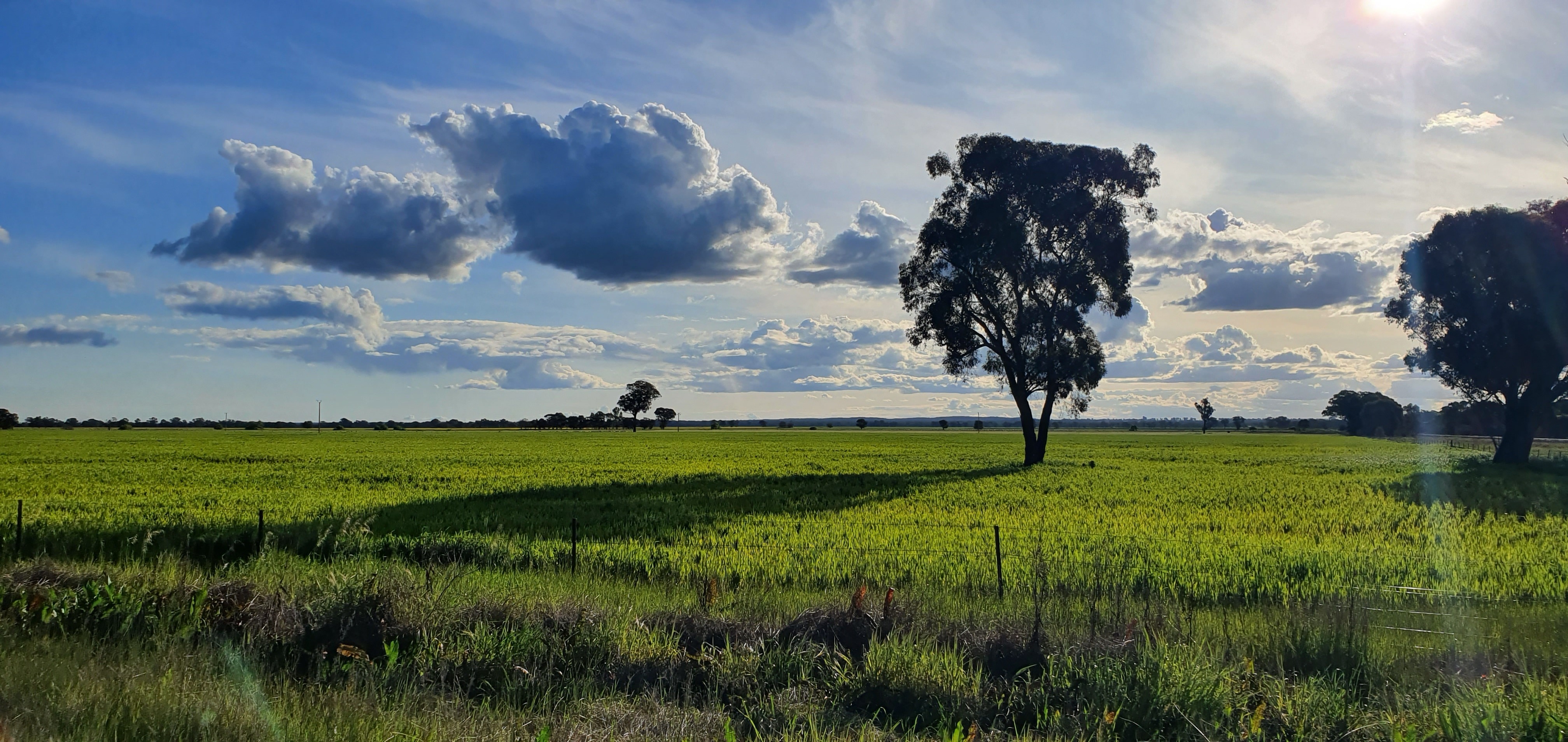 The High Country Fella banner image