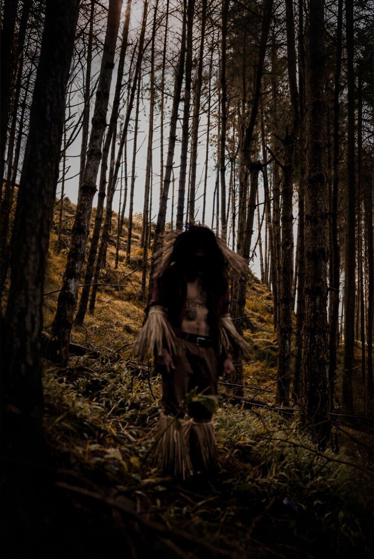 Leopmonk cover image