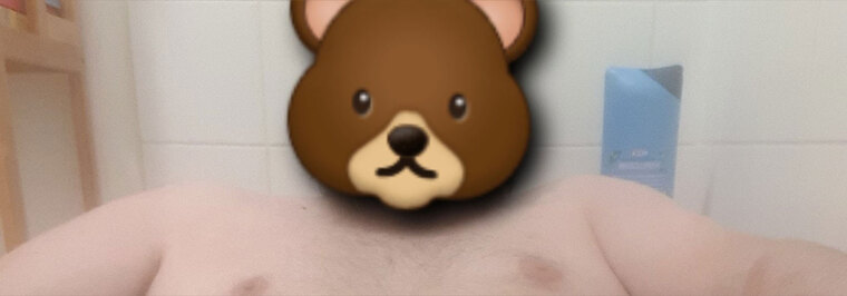 The Masked Bear cover image