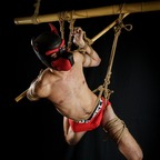 TheMaskedToy avatar