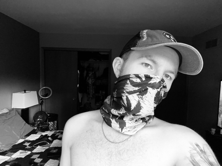 Taz banner image