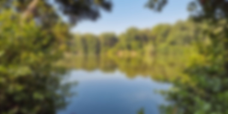 Marv π₯ banner image