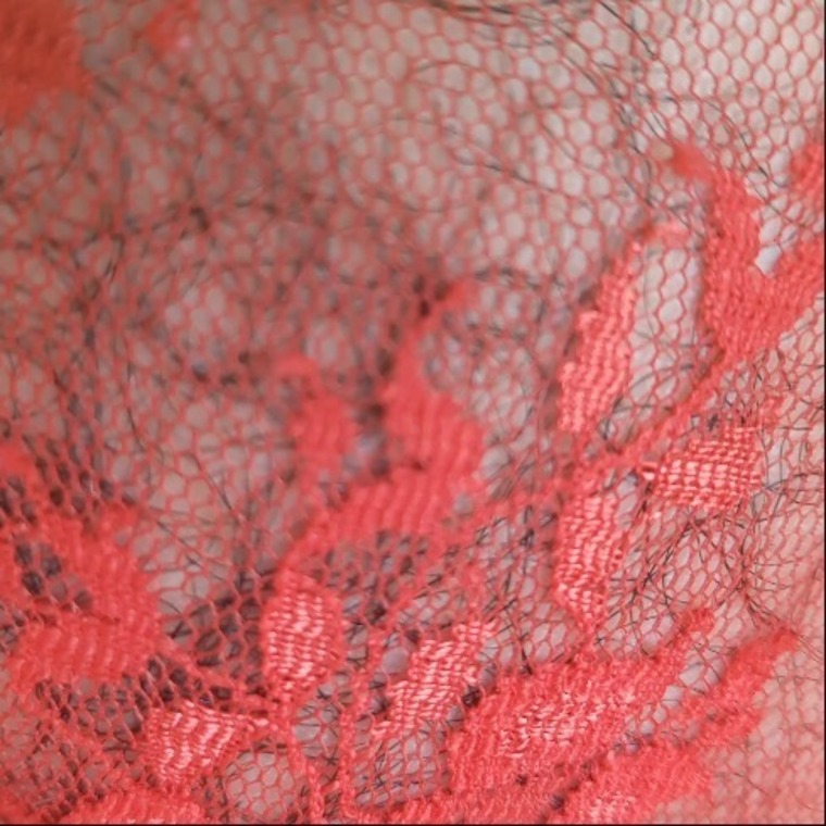 Vera Divera cover image