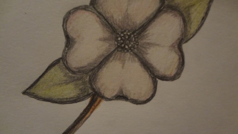 Isabell Ward cover image