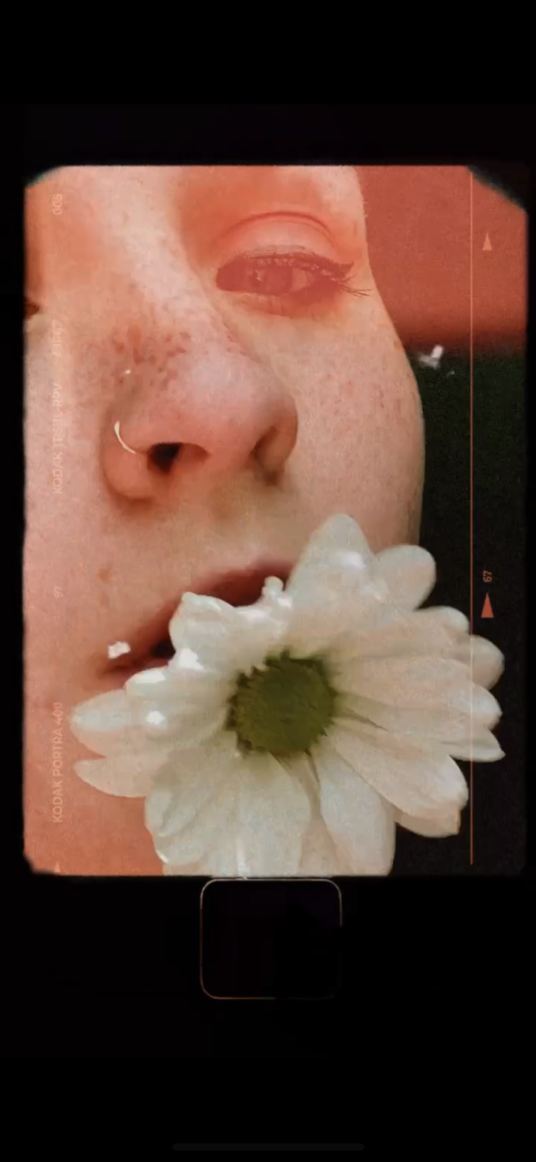 Alli banner image