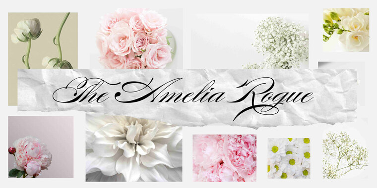 Amelia Rogue banner image