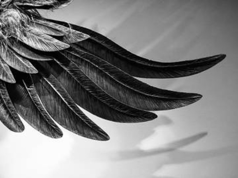 The Angel Lilith banner image