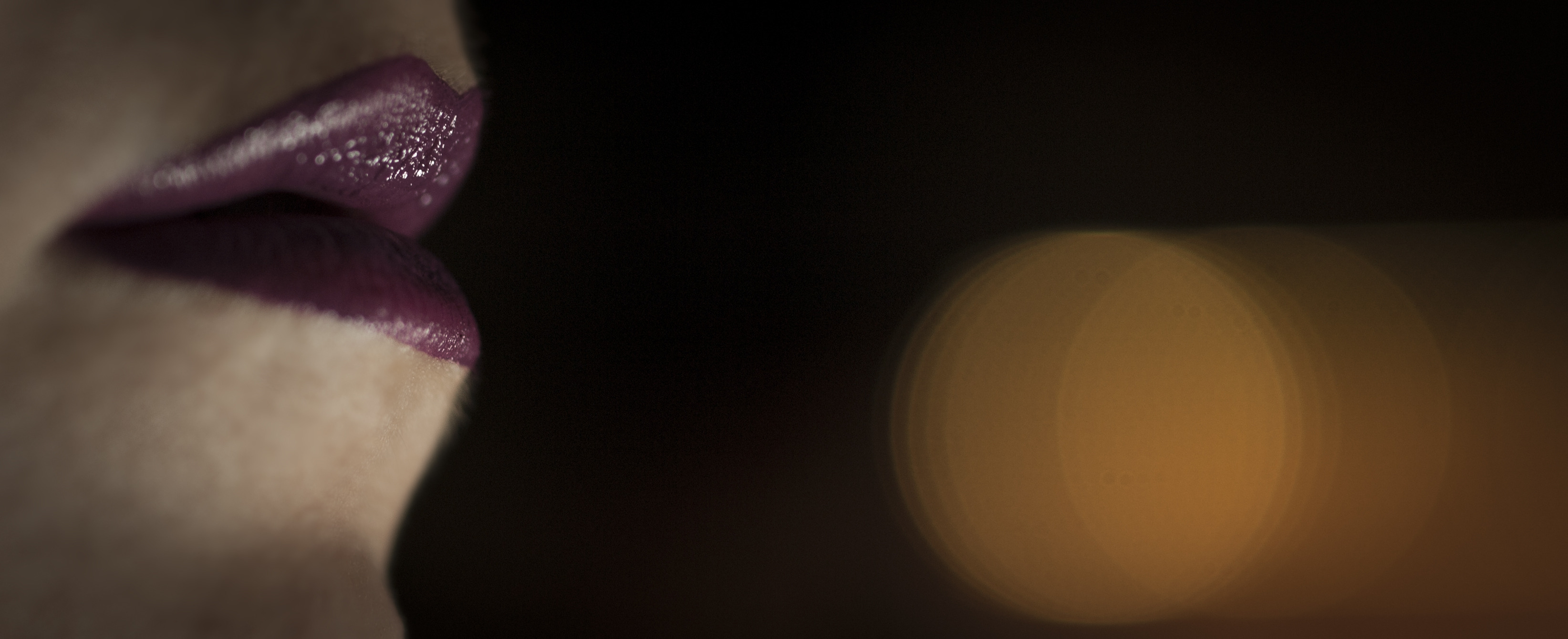 The Art of Willy and Paw banner image