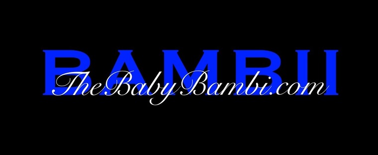 Bambii’s Video Store cover image