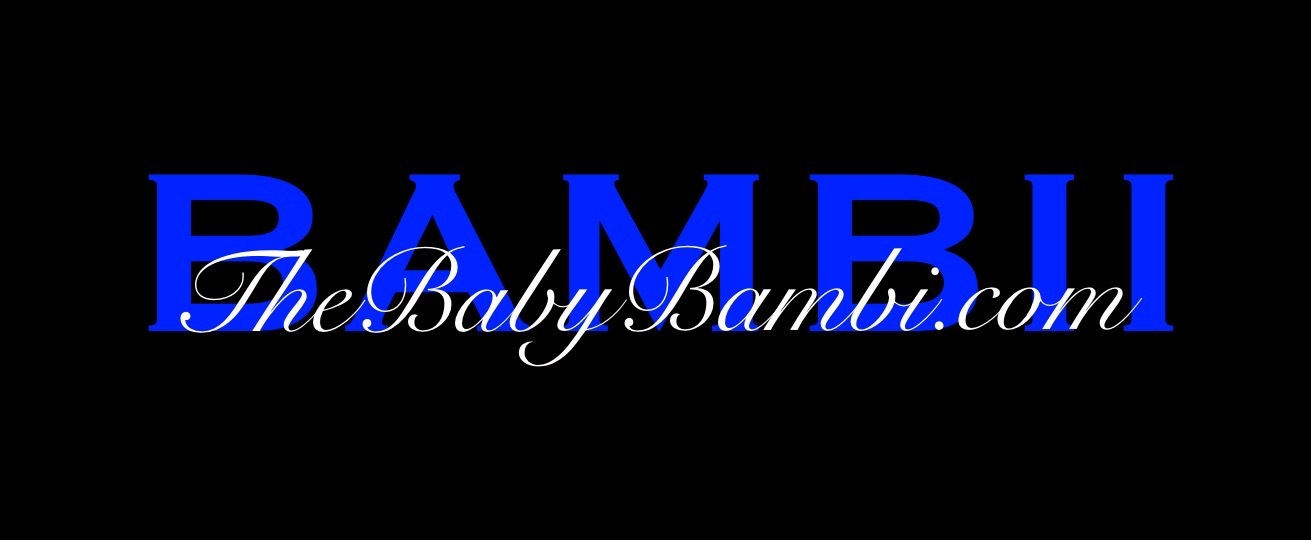 Bambii’s Video Store banner image