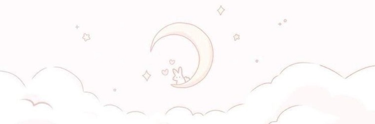 Baby Fox banner image