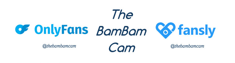 BamBam Cam cover image