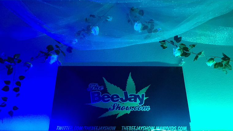 TheBeeJayShowFREE cover image