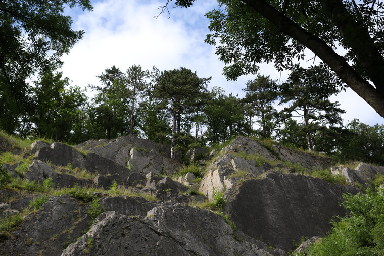hobbyphotobortier cover image